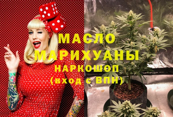 ECSTASY Вяземский