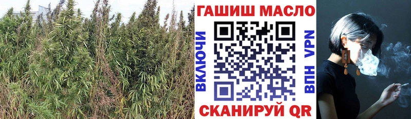 ТГК Wax  продажа наркотиков  Ипатово 