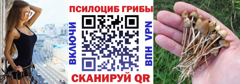 магазин Ипатово Галлюциногенные грибы Magic Shrooms