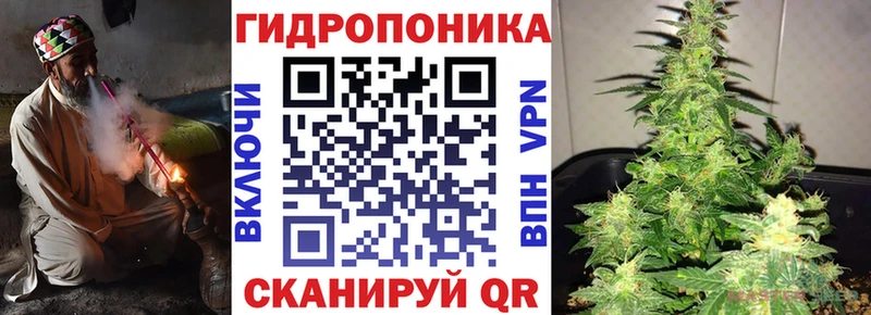Бошки марихуана индика  Ипатово 